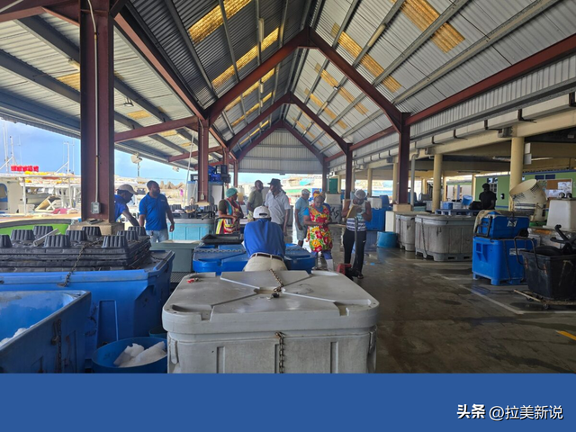从废墟到韧性：巴巴多斯渔业的飓风灾后重建之路