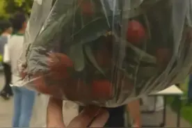 深圳一公园免费送荔枝啦！图片