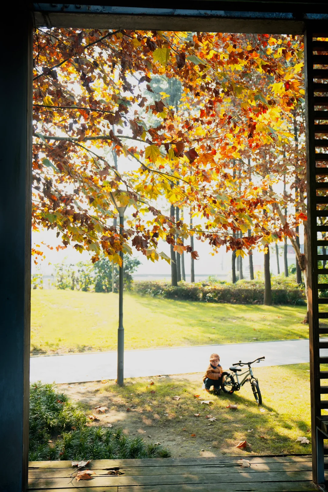 成都这个公园胜过绕城绿道，含氧量达100%，地铁3号线直达！