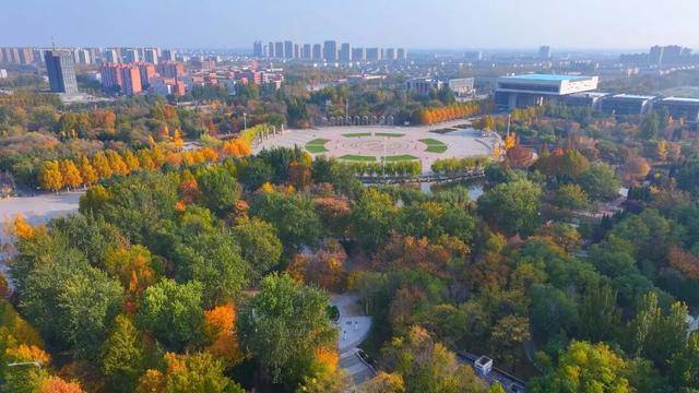 广饶初冬的仪式感来了！