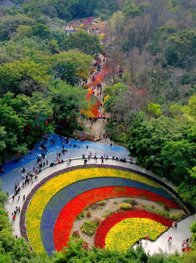 我市各大公园赏花正当时