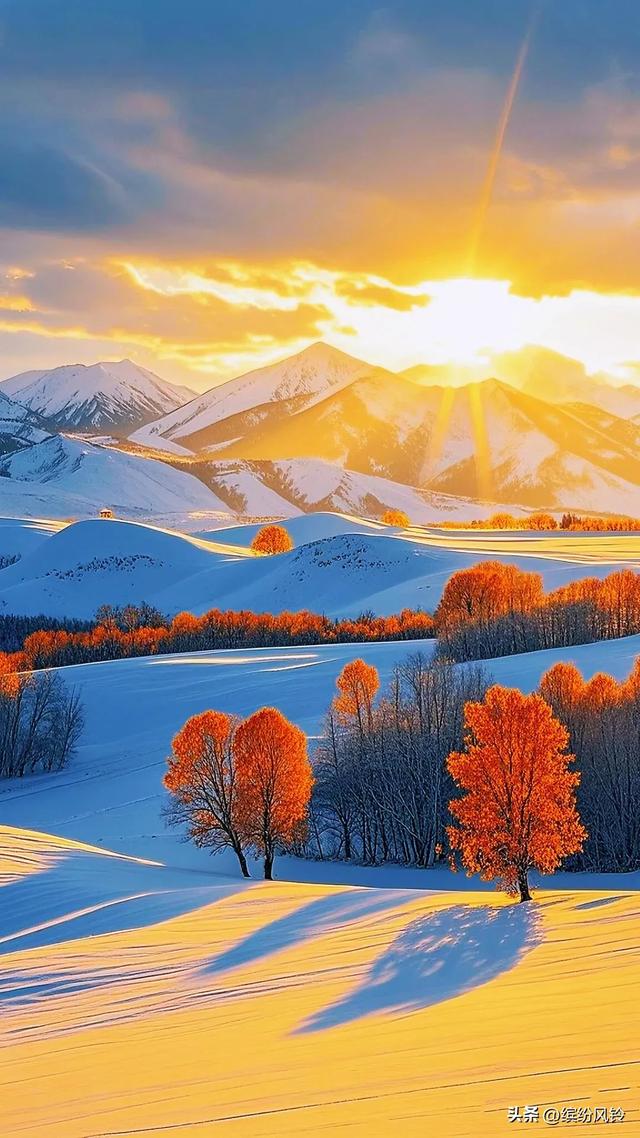 雪裹秋光，树栖金芒