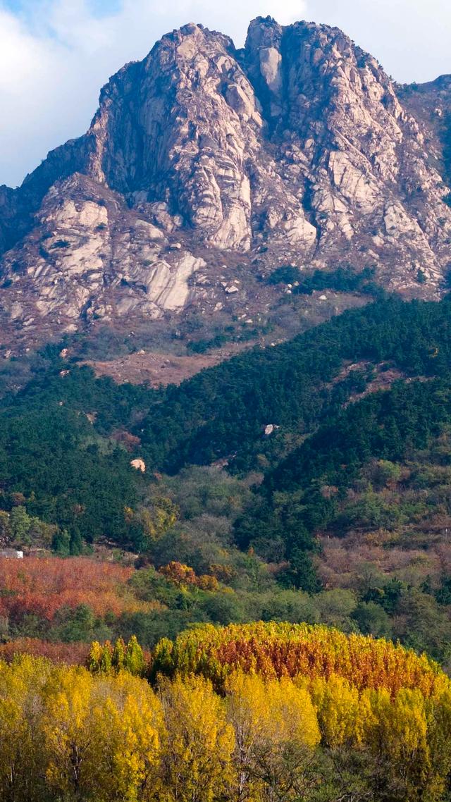 立冬悠游青岛西海岸新区灵山卫街道，乡野美得不像话，像画！