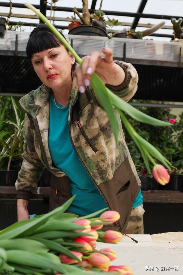 俄罗斯远东缺的不是资源，是人！免签一开，东北和远东都要变天