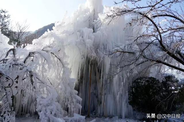 人气火，经济旺！汉中高颜值冰雪出圈→