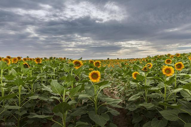 草原、沙漠与森林的密语：探访内蒙古那些不为人知的“宝藏”