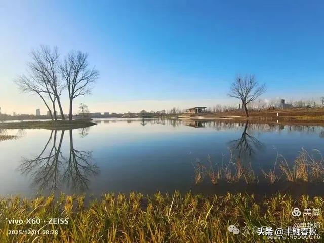 初冬北京朝阳坝河金盏淀：清寒里的静美画卷｜申艳娟