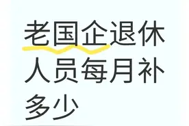老国企退休人员每月能补多少， “定额调整+挂钩调整+倾斜调整”图片