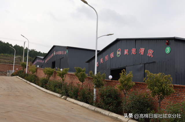 跪拜沂蒙大地