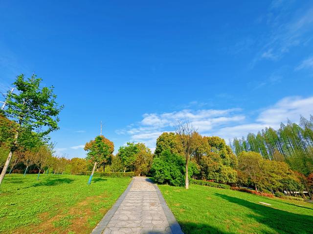 5款软件搞定照片转视频，新手也能10分钟出片