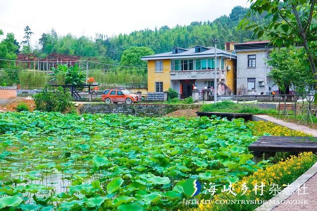 【金牌旅游村】福建｜三元区小蕉村：村在景中 景在村中