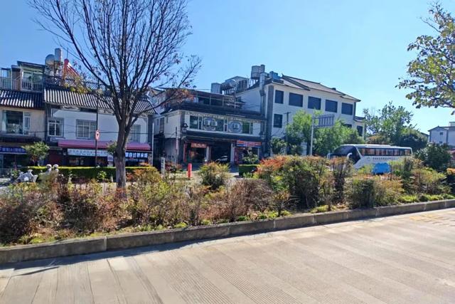 绿美大凤路：一路生花一路景