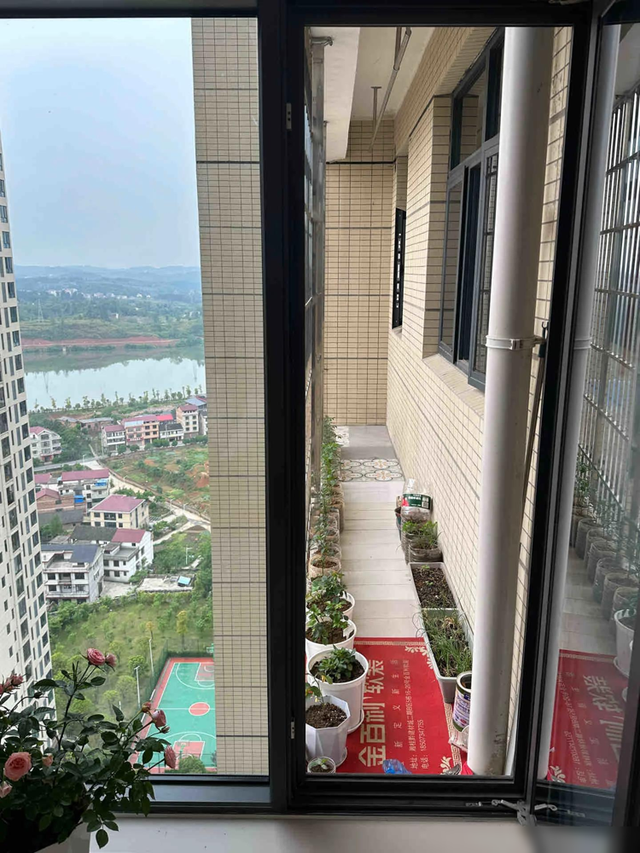 深圳一大叔，因“空调机位养花”火了，网友：厉害，白赚几万块~