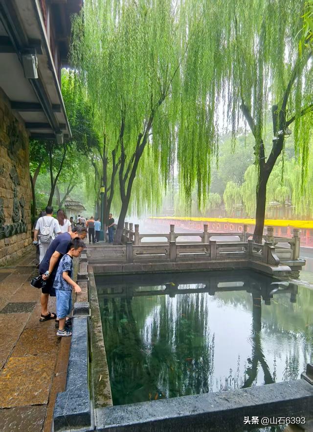 新华社原军事记者陶俊峰泉城美拍：秋雨后 护城河边美如画