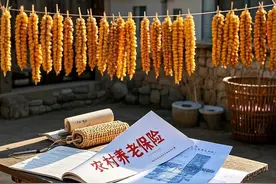 河南农村农民60岁以上可领哪些钱？一文讲清政策及领取方式图片