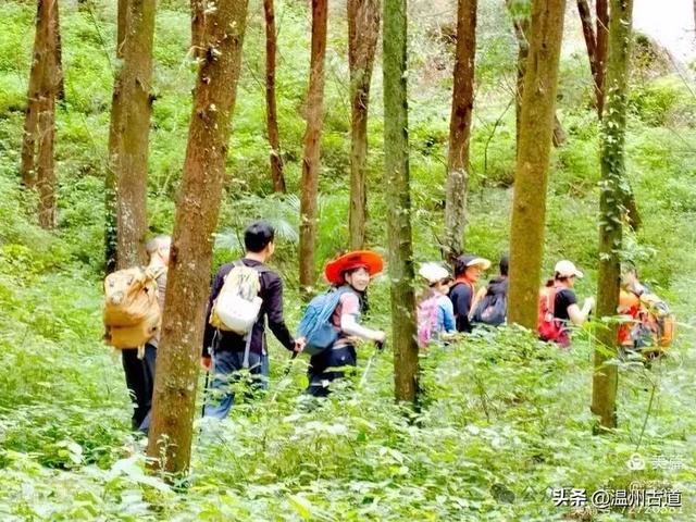 浙江这条风光奇绝适合新手小白的徒步线路，值得推荐！