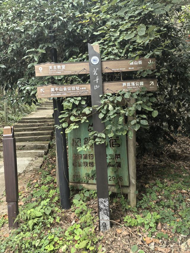 浙江湖州市德清县莫干山国家风景名胜区游记（下）