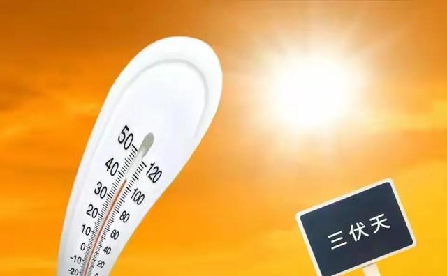 明日入伏，今年三伏天不一般！1个好消息，2个坏消息，3个要注意