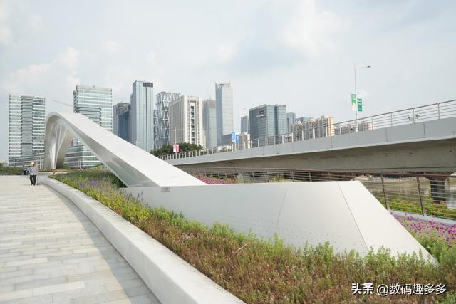 广州新晋网红点，黄埔涌桥打卡攻略