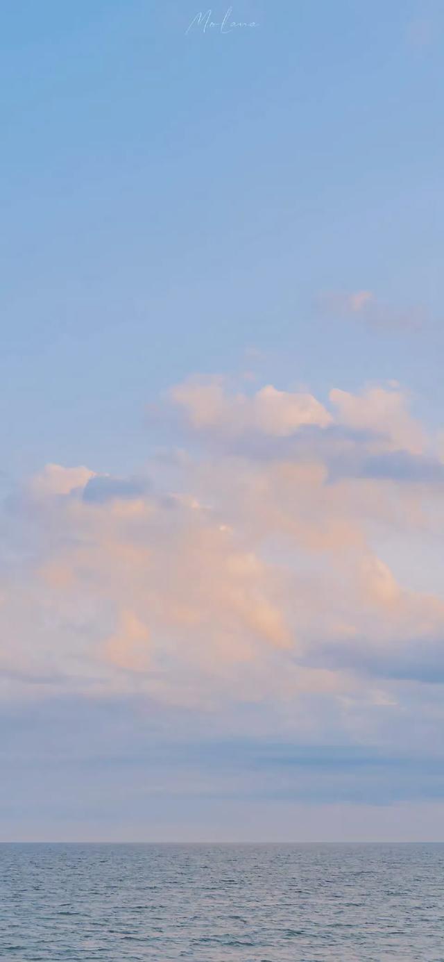 壁纸｜小事藏欢，日子满甜