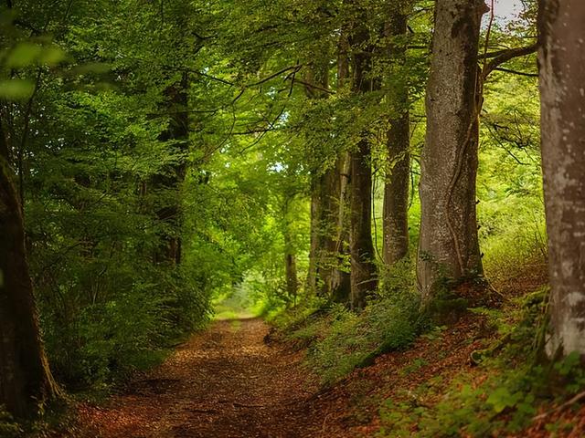 “三不管”的犯罪天堂，墨西哥首都后山成毒贩乐园，徒步者成猎物