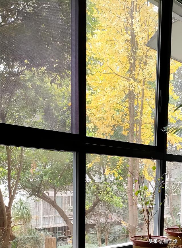 冬夜（散文诗)/墨乐缘