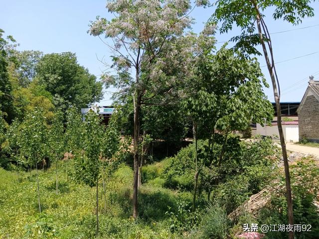 南阳马圈王村,曾为坚固古城,北魏孝文帝与南齐太尉曾在此激战