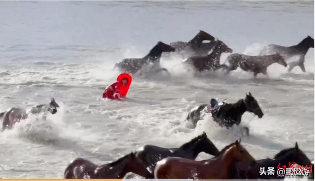 47岁贺娇龙去世！同学曝抢救过程，网友提醒成真，此前疑早有征兆