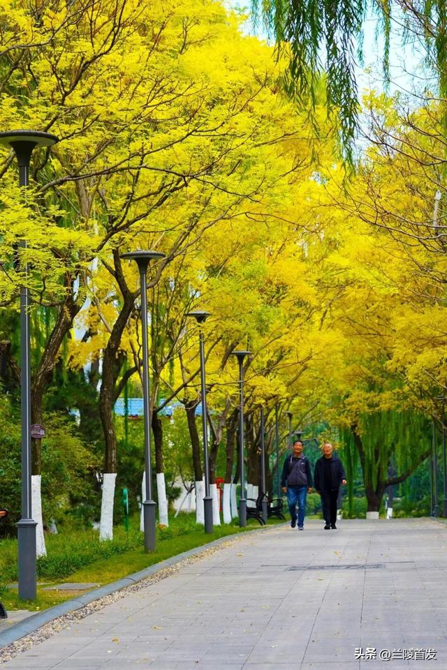 好客山东好品山东| 临沂的秋天，这10处绝美打卡地别错过！先收藏慢慢逛~