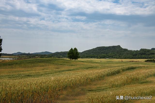 隔壁的城市走一走——镇江丁岗五七林场