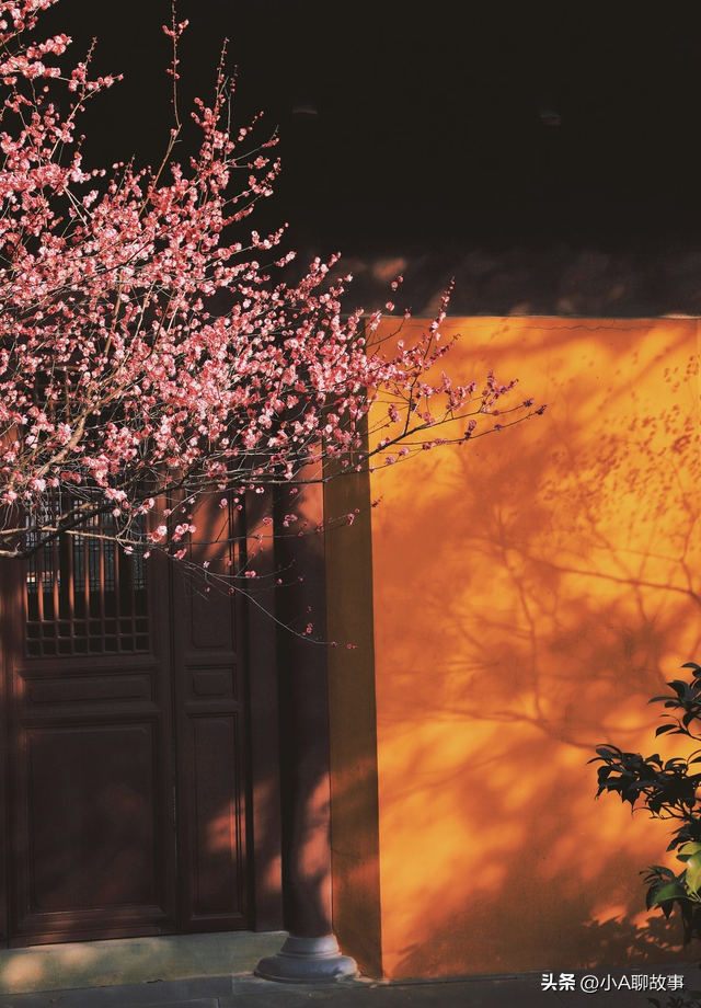 又一5A景区官宣永久免费！年入数亿，关键是秋天美到词穷！