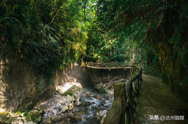 错过等一年！巴山大峡谷秋色刚开场，彩林已美成仙境！