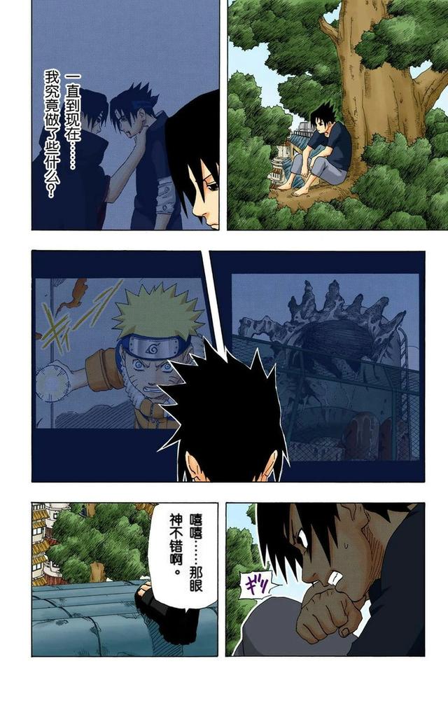 火影忍者彩漫 第二十卷 第五代火影纲手，鸣人佐助天台对决