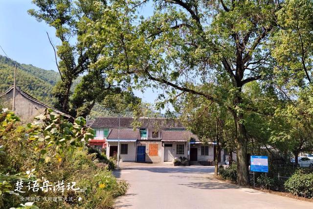 浙江宁波的山海风景线，山岙里藏着多个古村和网红景点，值得游玩