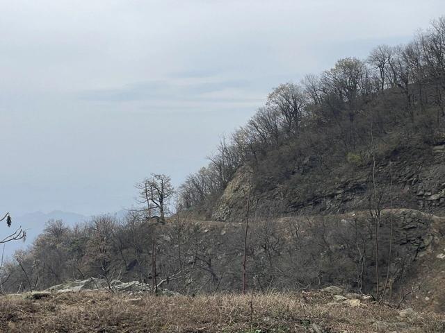 山地车越野正宗马丁公路（越野线）骑游马鬃岭东线攻略