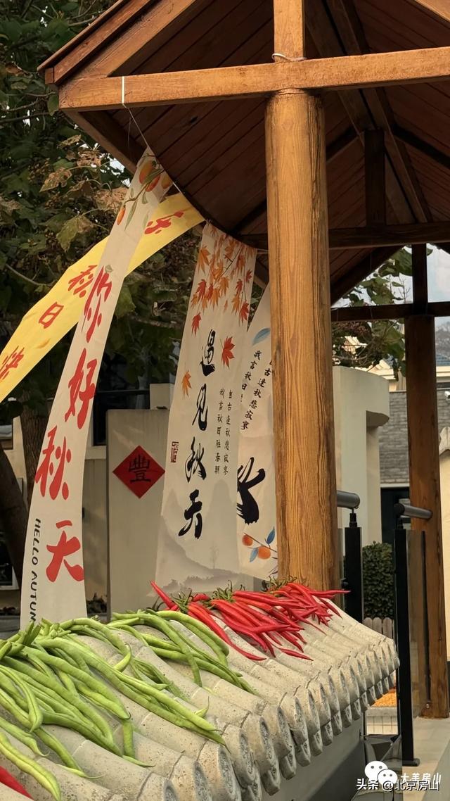 橙黄橘绿满山野，这场“捡秋”之旅别错过！