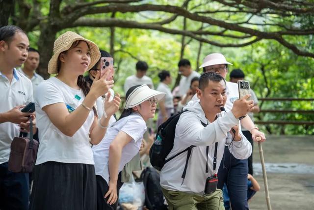 喜讯！明月山入选2025年江西年度营销创新商家！