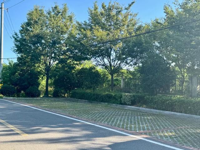 实地探访“江苏美丽乡村”、丹阳访仙镇草塘村漂亮的乡村环境