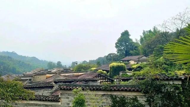 解码鹰潭中式美学：逛古街、访书院、赏木雕……读懂山水与时光的交融