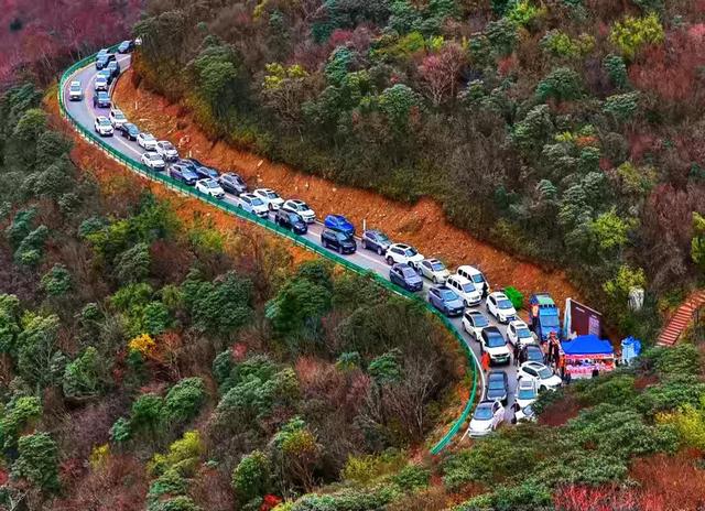 四川旺苍县红叶成秋日爆款 全国游客争相打卡