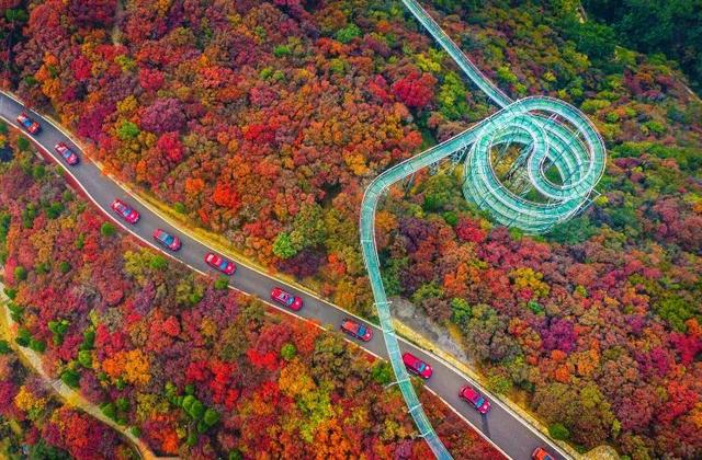 抱犊崮入选山东金秋醉美红叶观赏地