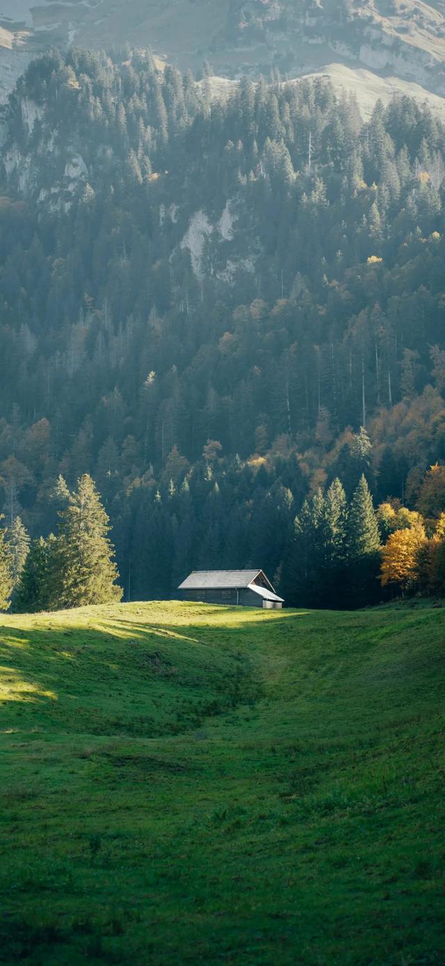 手机壁纸|山水风光美景，绿意盎然