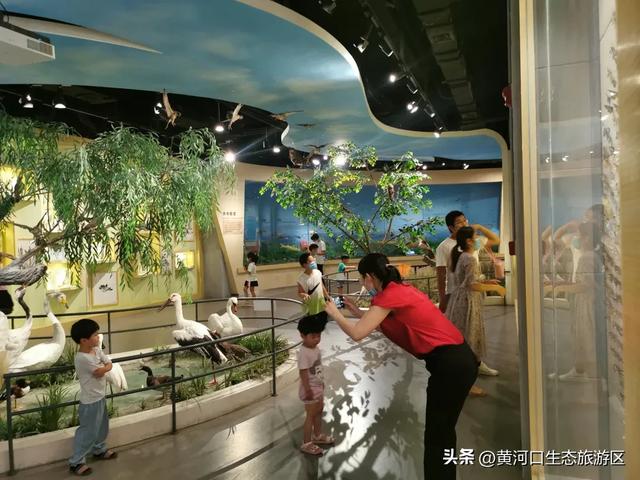 【黄河口生态旅游区】今日立秋