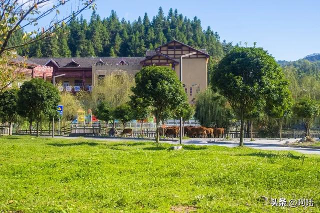 摩旅湘西,偶遇湖南省最大的少数民族聚居安置区,感受却五味杂陈