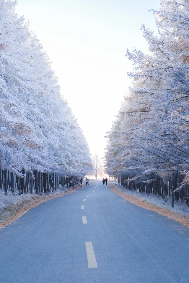 入冬啦！呼和浩特的这几处顶流打卡地必须去眊一眊！