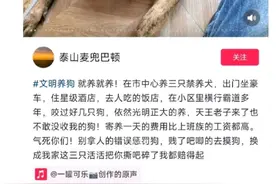 济南网友自曝养了三条禁养烈犬，挑衅公众10天后警方未公开回应图片
