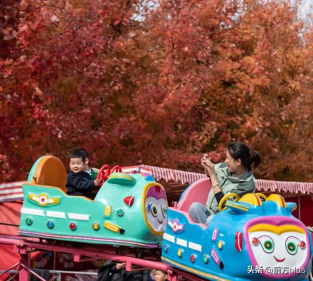 这场不等人的浪漫，有新玩法