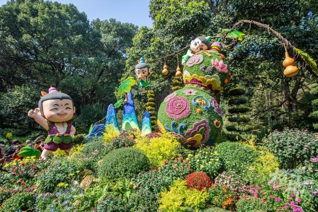 全是人人人人人！一年一度杭州“顶流”人气菊花展登场