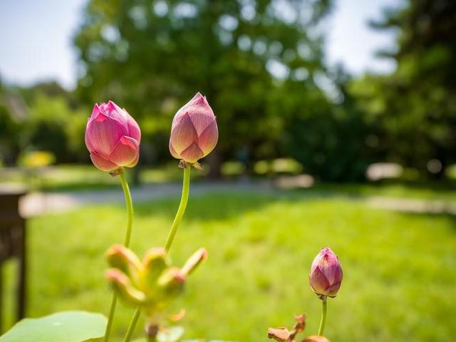 情感爆文：爱是信任，不是占有，是心心念念的彼此牵挂