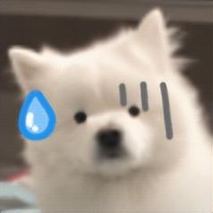 支付宝 “ 集五福 ” 今年玩法再升级！有人第一天就分到 168 元？